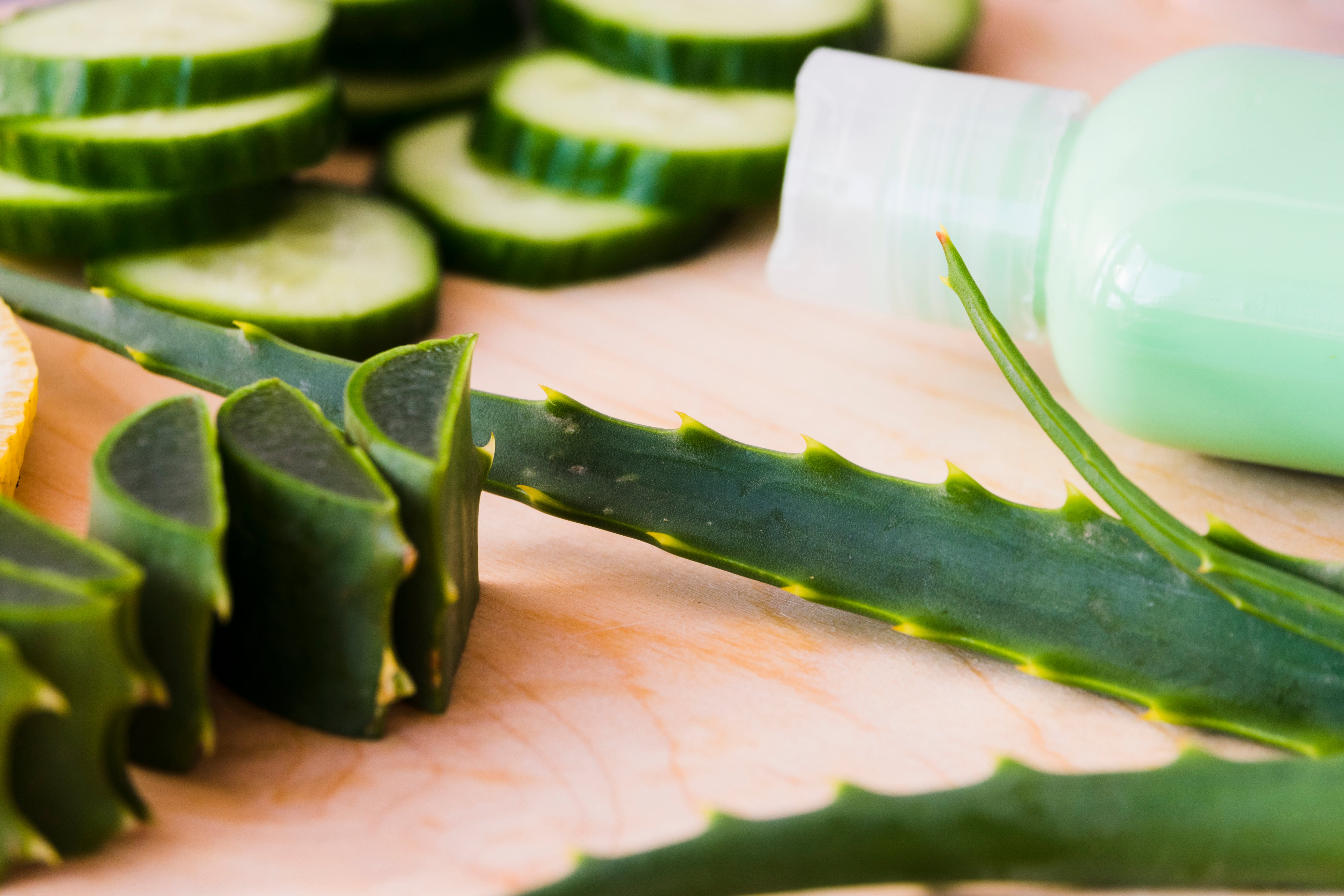 Descubre los increíbles beneficios del aloe vera para tu piel: el ingrediente estrella en la cosmética