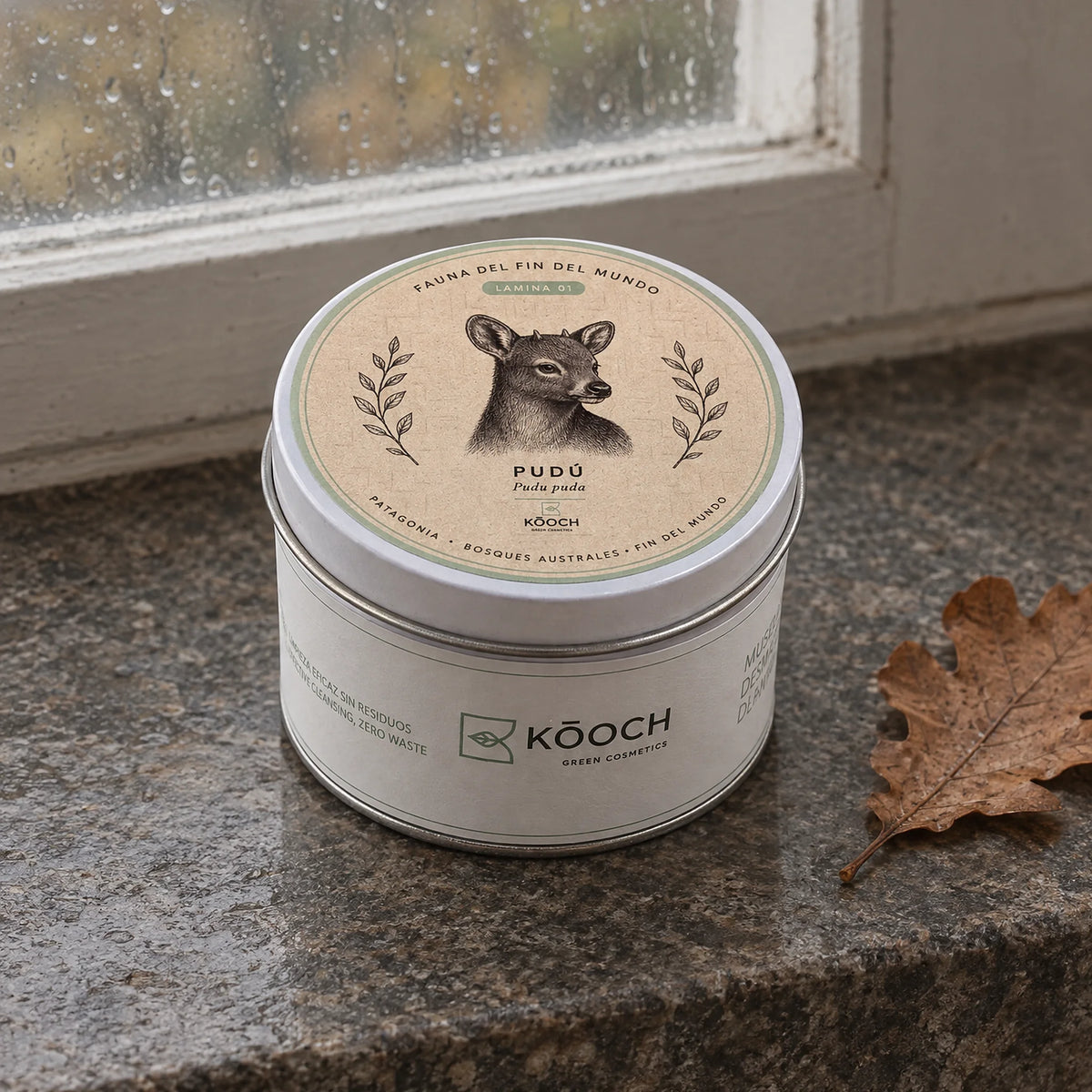 Lata de muselinas Kōoch con la lámina del pudú sobre un alféizar de granito, con lluvia en el cristal y una hoja de roble seca