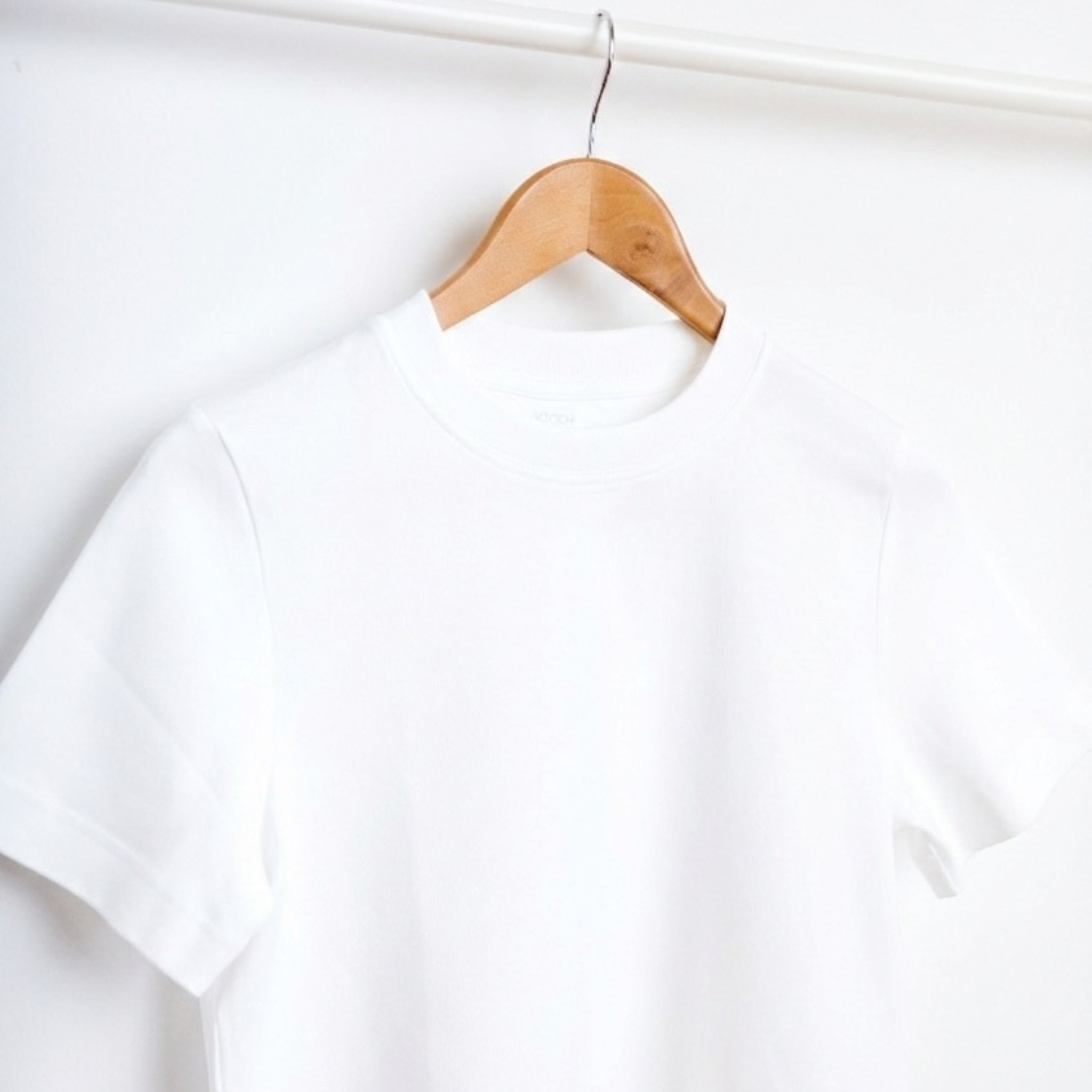 calidad camiseta atemporal